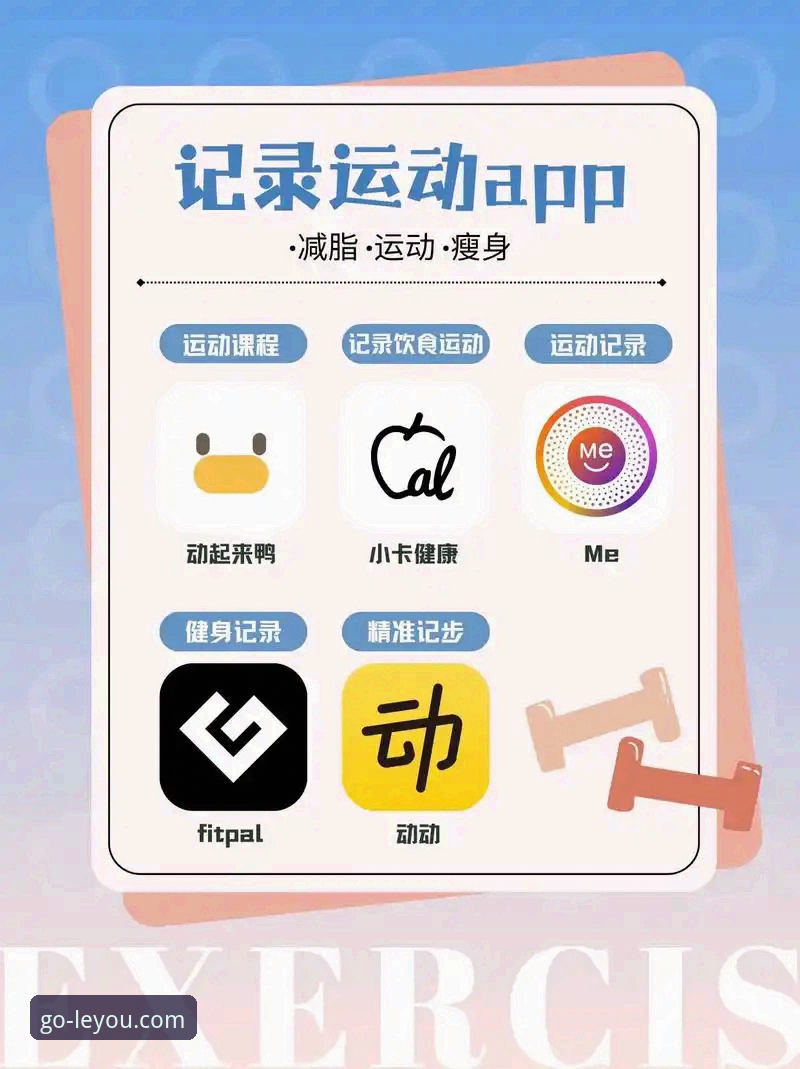 乐游体育平台登录功能详细操作教程：新手也能轻松上手